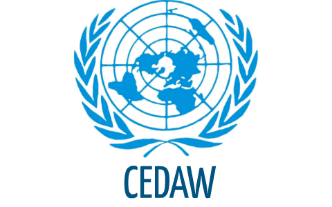 Relatório CEDAW 2024