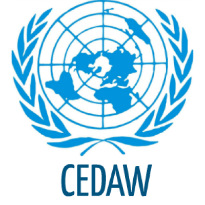 Relatório CEDAW 2024